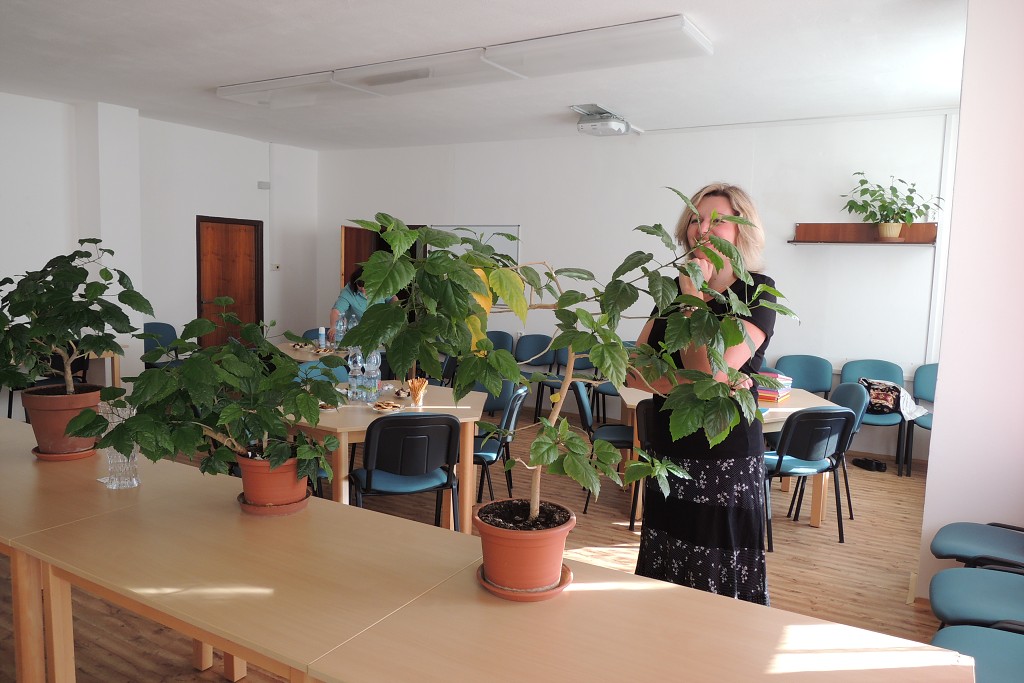 Maturitní zkouška 4SVa